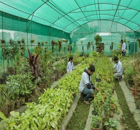Dr. C.V. Raman University Bihar