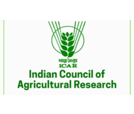 Dr. C.V. Raman University Bihar